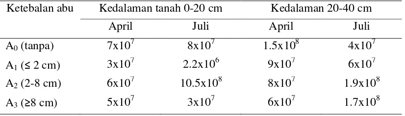Tabel 3. Jumlah Total Jamur pada Tanah yang Tidak Terkena Abu dan Terkena Abu Vulkanik pada Berbagai Ketebalan Abu (koloni/ml) 