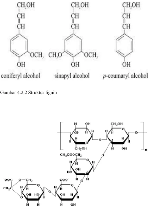 Gambar 4.2.3 Struktur hemiselulosa 