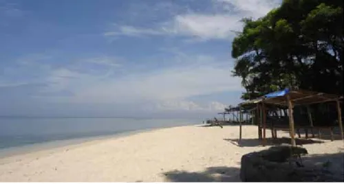 Foto 1. Potensi Pantai di Pulau Samalona