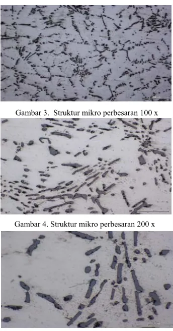 Gambar 3.  Struktur mikro perbesaran 100 x 