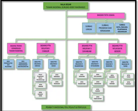 Gambar 2.1 Struktur Organisasi Balai Besar TNGGP 