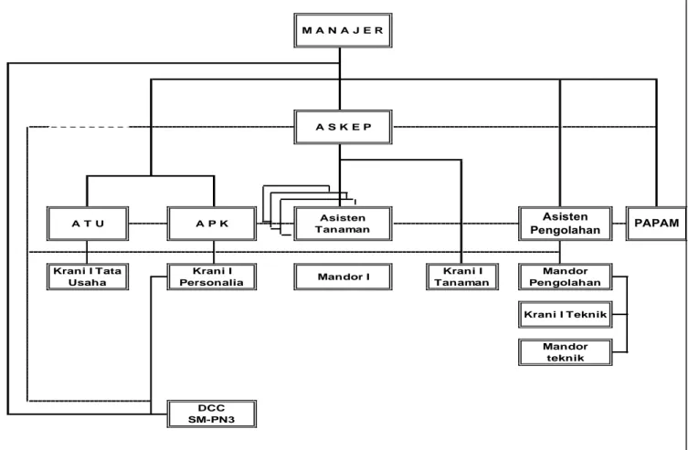 Gambar 4.1. Struktur Organisasi PT.Perkebunan Nusantara III Kebun Sarang Giting 