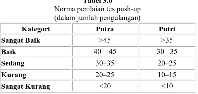 Tabel 3.6  Norma penilaian tes 