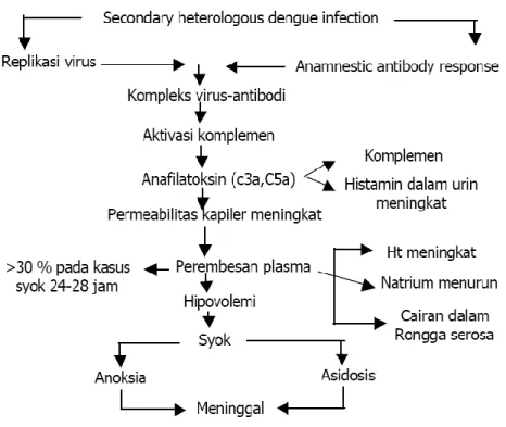 Gambar 2. Teori secondary heterologous infection yang pertama kali dipublikasikan oleh  Suvatte,1977 dan pernah dianut untuk menjelaskan patofisiologi DD/DBD 