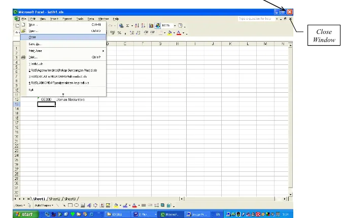 Gambar  9. Menu untuk menutup dokumen Excel tanpa mengakhiri Excel 
