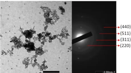 Gambar 2.1.b. Hasil TEM Nanopartikel MgFe 2 O 4  Sampel A 