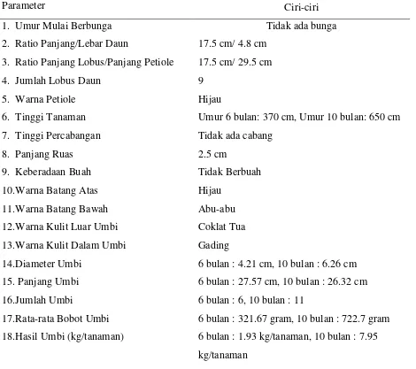 Tabel 8 . Hasil Identifikasi karakter Ubi Malaysia  