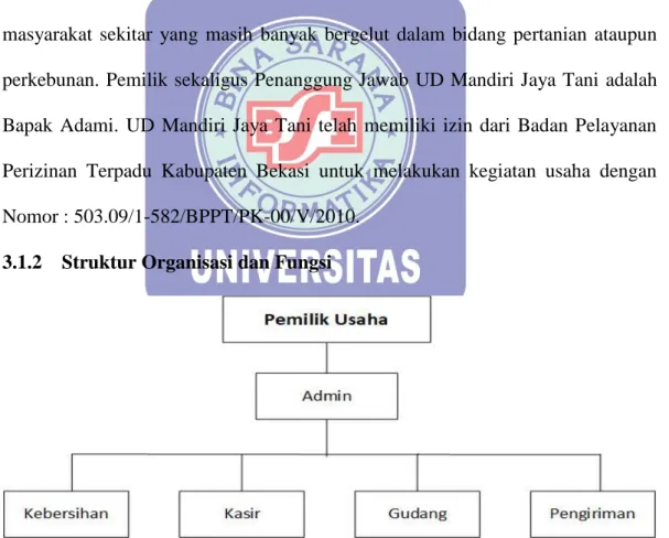 Gambar III.1 Struktur Organisasi UD Mandiri Jaya Tani 