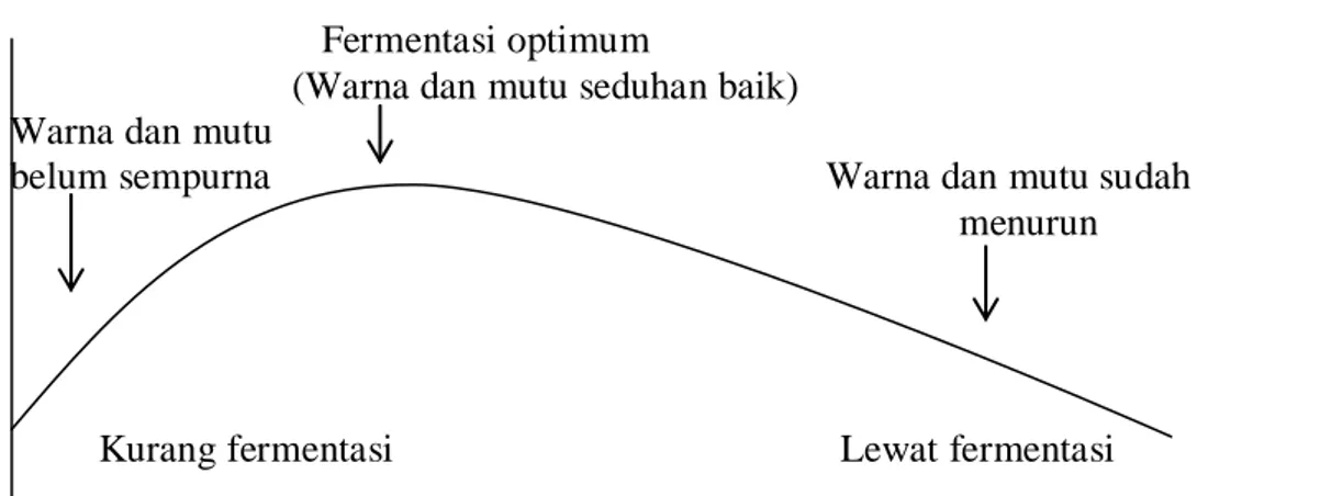 Gambar 1.Hubungan antara lama fermentasi dan mutu seduhan teh (Kamal, 1985).  Katekin (catechin) dapat berubah menjadi senyawa lain seperti theaflavin  oleh proses fermentasi