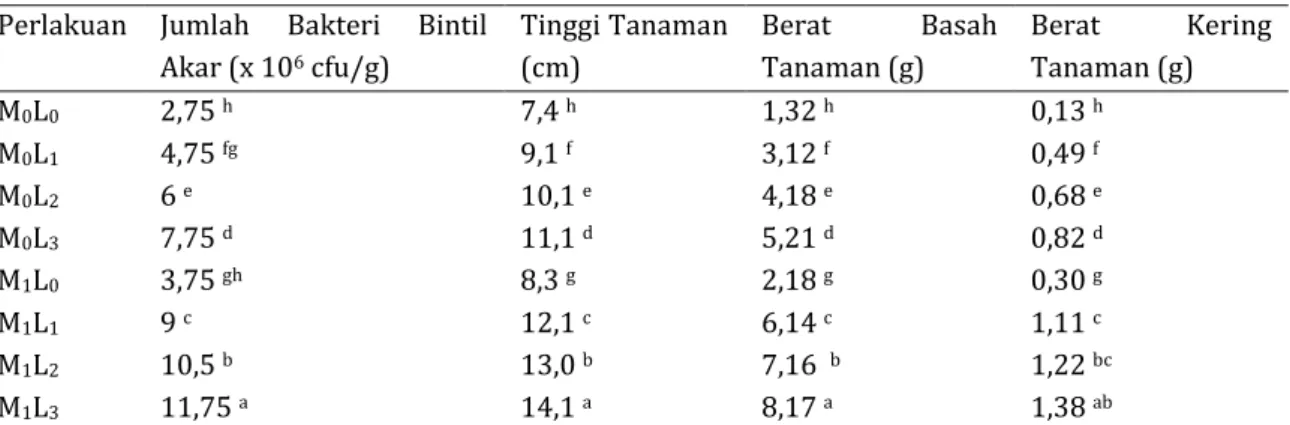 Tabel  1.  Rataan  jumlah  bakteri  bintil  akar,  tinggi  tanaman,  berat  basah  tanaman,  berat  kering  tanaman oleh penggunaan inokulan legin (L) dan mulsa (M) pada umur 14 hari