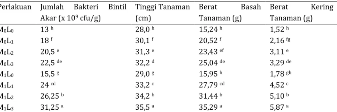 Tabel  2.  Rataan  jumlah  bakteri  bintil  akar,  tinggi  tanaman,  berat  basah  tanaman,  berat  kering  tanaman oleh penggunaan inokulan legin (L) dan mulsa (M) pada umur 28 hari