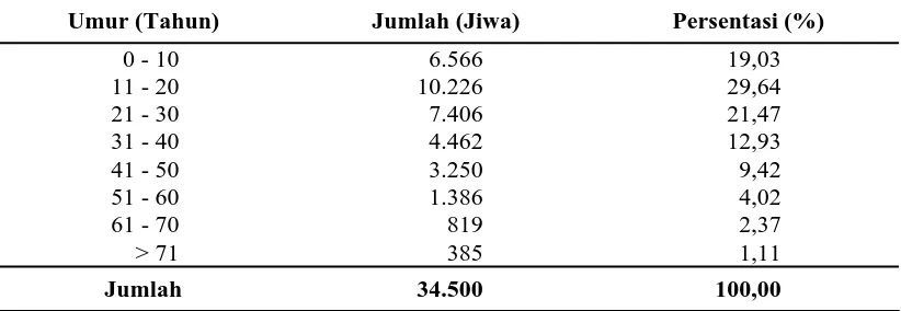 Tabel 4.1.  Distribusi Penduduk Berdasarkan Umur di Kecamatan Nisam Tahun   2008    