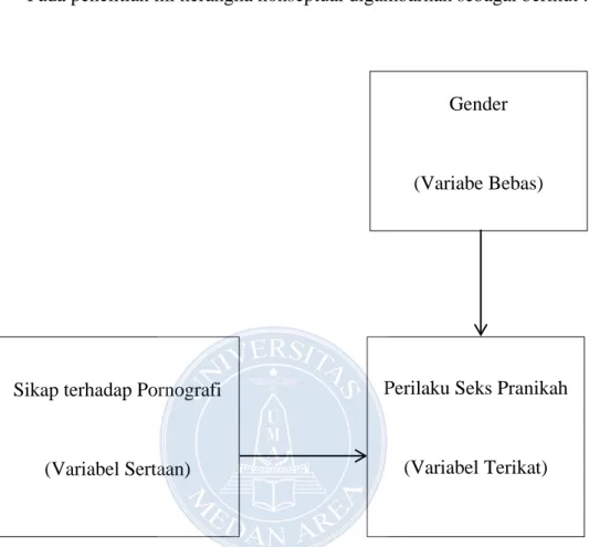 Gambar 1.1. Skema Kerangka Konsep Penelitian  