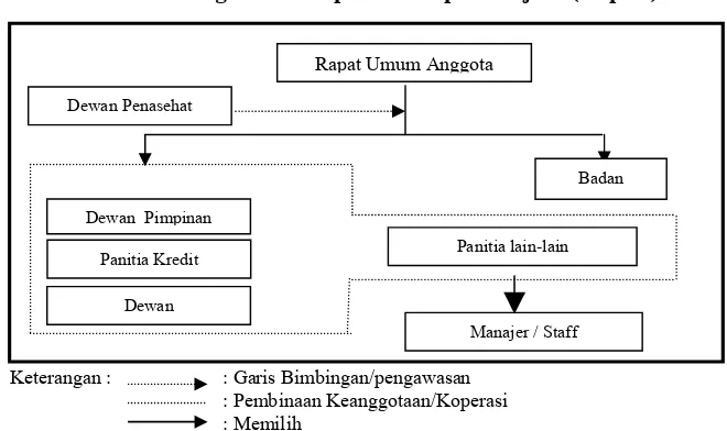 Gambar 1. Struktur Organisasi Koperasi Simpan Pinjam (Kopdit)