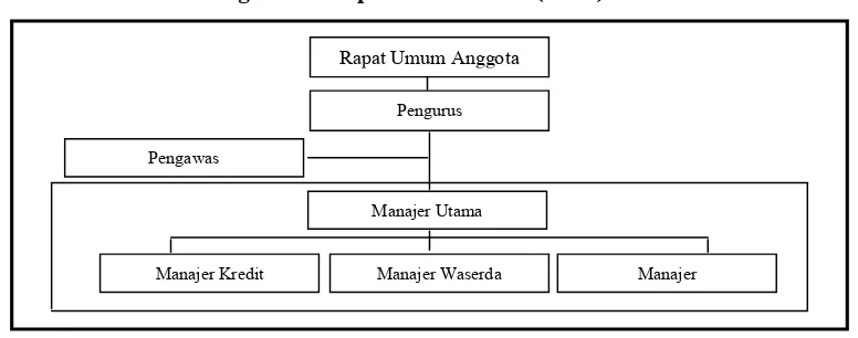 Gambar 2. Struktur Organisasi Koperasi Unit Desa (KUD)