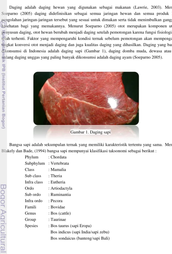 Gambar 1. Daging sapi 