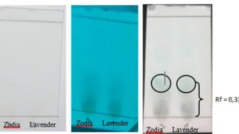 Gambar 2. Hasil uji KLT minyak atsiri daun zodia dengan eluen toluen:etil asetat (97:3),   sebelum disemprotkan H 2 SO 4  10% (kiri), KLT di bawah lampu UV 254  (tengah),  sesudah disemprotkan H 2 SO 4  10% (kanan)