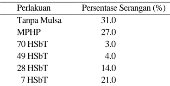 Tabel 1. Pengaruh perlakuan mulsa pada serangan  penyakit layu Fusarium  
