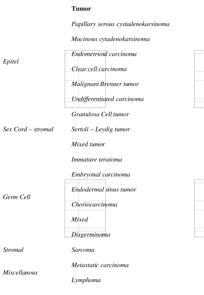 Gambar 6. Klassifikasi tumor ovarium (dikutip dari Pathologic Basis of Disease)