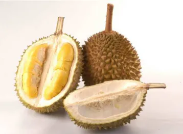 Gambar buah durian disajikan pada Gambar 1. 