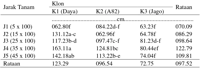 Tabel 2. Pertambahan panjang tanaman tiga klon ubi jalar pada jarak tanam yang berbeda umur 10 MST