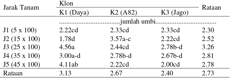 Tabel 3. Bobot umbi per tanaman dari tiga klon ubi jalar pada jarak tanam yang  berbeda