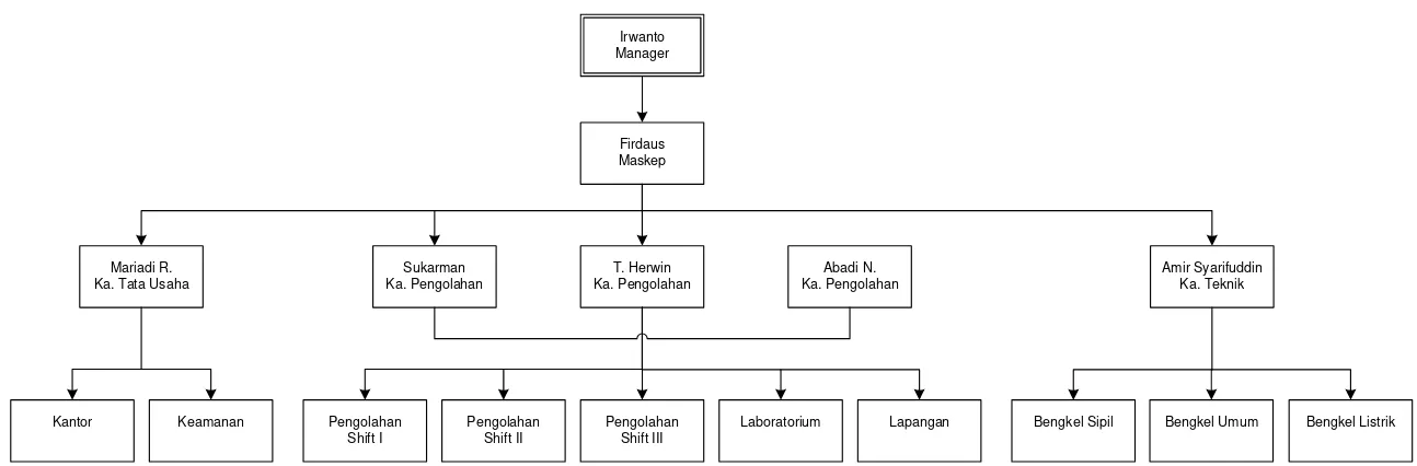 Gambar 5-1: Struktur Organisasi PKS Tg Seumantoh, NAD 