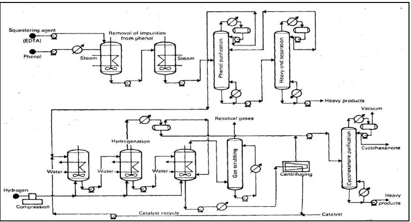 Gambar 2.2 Produksi Kaprolaktam dari Fenol dengan Allied Chemical Pheno Process  