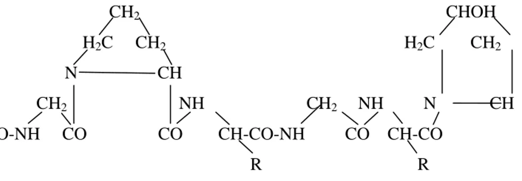 Gambar 1. Struktur Kimia Gelatin (Imeson, 1992) 