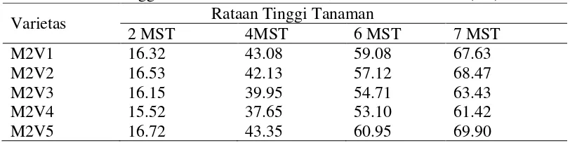 Tabel 1. Rataan tinggi tanaman 2 MST, 4 MST, 6 MST dan 7 MST (cm)  