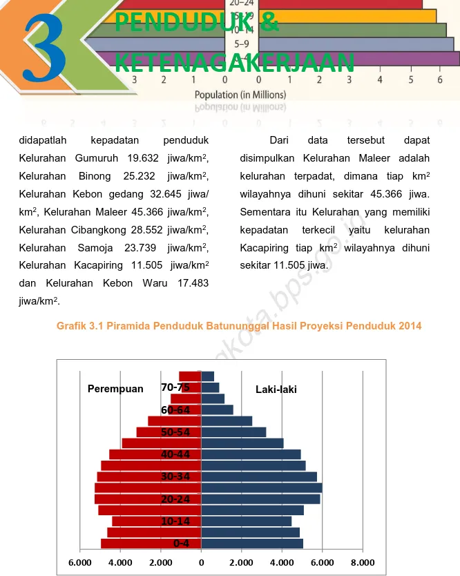 Grafik 3.1 Piramida Penduduk Batununggal Hasil Proyeksi Penduduk 2014