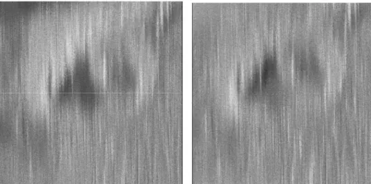 Gambar 5.1  Citra SLC amplitudo 19961225 (sebelah kiri) dan 19971001 (sebelah kanan)  terlihat sekali kecilnya korelasi antara kedua citra tersebut 