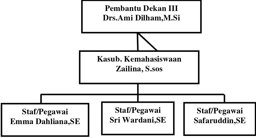 Gambar 2.2 Struktur organisasi pada bagian Kemahasiswaan FE USU Sumber. Kemahasiswaan Fakultas Ekonomi Universitas Sumatera Utara         2012  