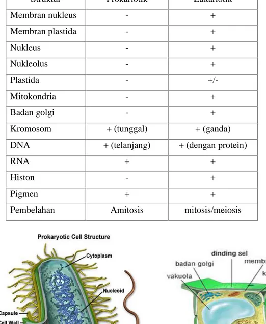 Tabel 1. Perbedaan Antara Sel Prokariotik dan Sel Eukariotik