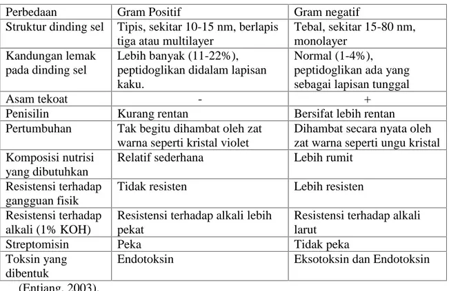 Tabel 3. Perbedaan Gram Positif dan Gram Negatif