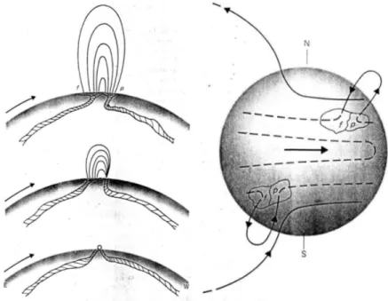 Gambar 2. Proses  pembangunan  sunspot sebagai akibat puntiran pada tabung medan magnet yang menembus fotosfer  dan menghasilkan sunspot.