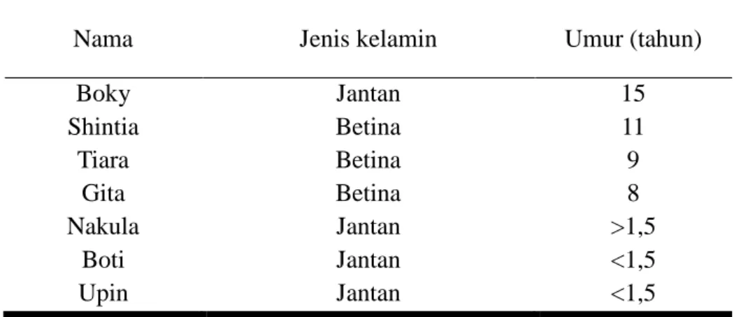 Tabel 1 Data kelompok bekantan di kandang anjungan Kalimantan TSI 