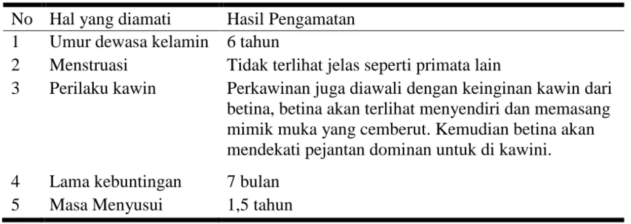 Tabel 2 Data reproduksi bekantan di TSI 