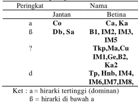 Tabel 1 Hirarki pada jantan dan betina dewasa 