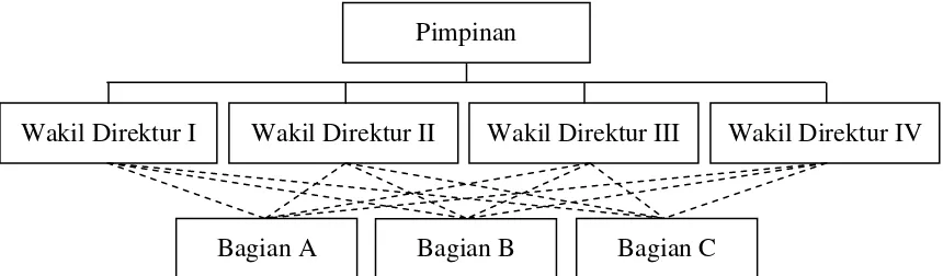 Gambar 3.3 Bentuk Struktur Organisasi Fungsional 