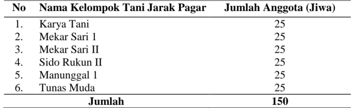 Tabel 5. Kelompok tani jarak pagar di Desa Babatan Kecamatan Katibung Kabupaten  Lampung Selatan 
