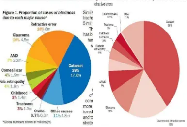 Gambar 1.1 dan Gambar 1.2: Diambil dari Community Eye Health Jurnal (2008) 