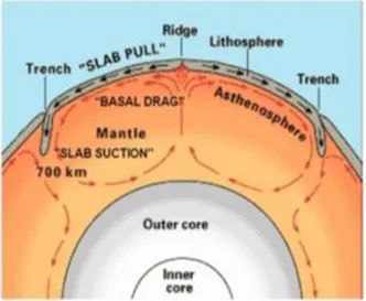 Gambar 6. Arus konveksi pada mantel (USGS, 2001). Arus ini  menyebabkan terjadinya basal drag dan slab pull, sedangkan gaya gravitasi 