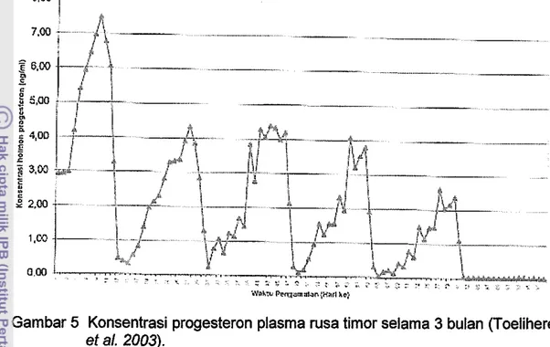 Gambar 5  Konsentrasi  progesteron plasma rusa timor selama 3 bulan (Toelihere 