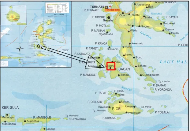 Gambar 2. Peta Geologi Regional Daerah Halmahera dan Sekitarnya.