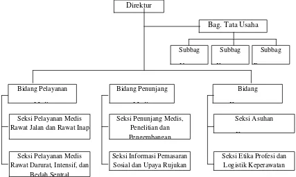 Gambar. 2.1 Struktur Organisasi BLUD RSUD Blangpidie Aceh Barat Daya 
