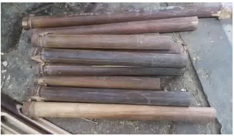 Gambar 3. Bambu Wulung 