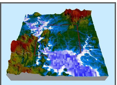 Gambar 3. Peta Morfologi daerah Long Daliq pada saat banjir, warna putih   memperlihatkan kondisi banjir 