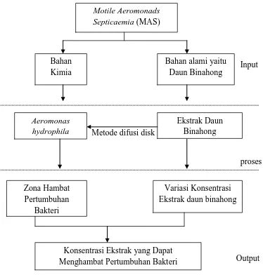 Gambar 1. Bagan alir kerangka pikir penelitian 