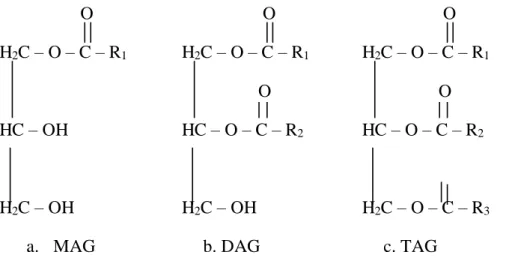 Gambar 2.2 Struktur Kimia MAG, DAG, TAG       O H2C – O – C – R1HC – OH  H2C – OH   a